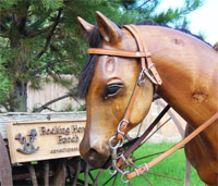 Rocking Horse Ranch